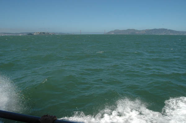 DSC_0181
